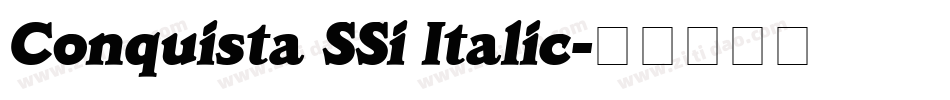 Conquista SSi Italic字体转换